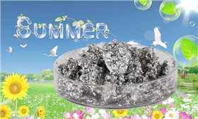 銀箭鋁銀漿_副本.jpg 銀箭鋁銀漿_副本.jpg